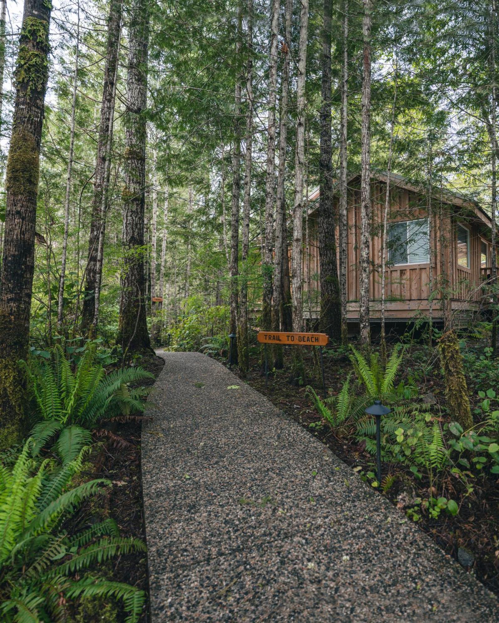 West Coast Wilderness Lodge Egmont Dış mekan fotoğraf
